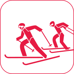 icon Para Biathlon